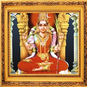 Annual Abhisheka Sri Devi